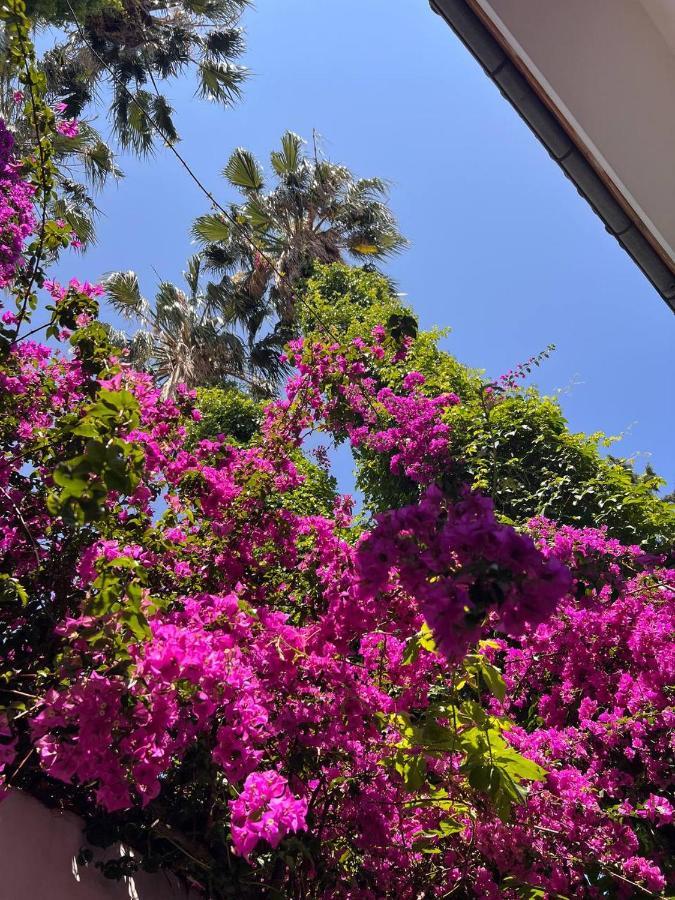 Palma Rosa Hotel Çamyuva Dış mekan fotoğraf