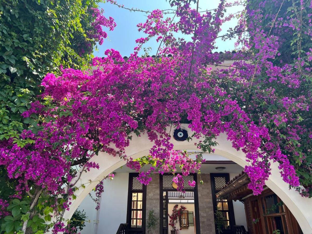Palma Rosa Hotel Çamyuva Dış mekan fotoğraf